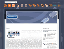 Tablet Screenshot of bandridge.com.pl